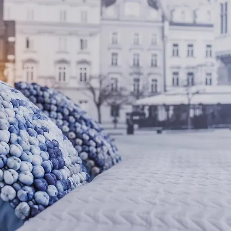 Zamenhofa By Renters